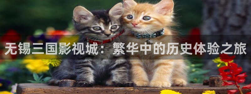 丝瓜影院在线观看视频